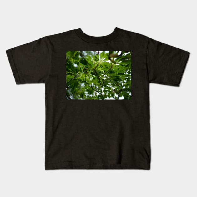 Light through the maple leaves Kids T-Shirt by fantastic-designs